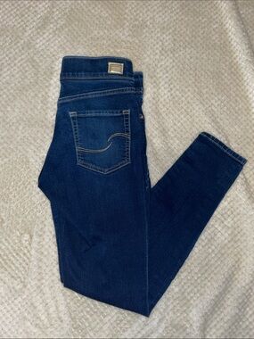 Signature by Levi Strauss Pull On Skinny Jeans Women’s Deep Blue 27X30